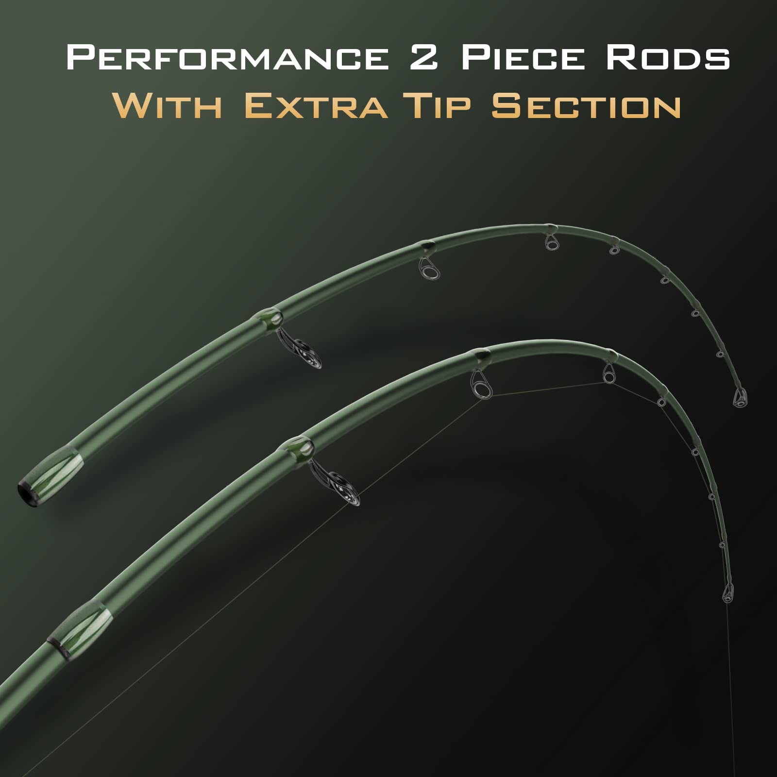 Performance 2 Piece Rods with Extra Tip Section
