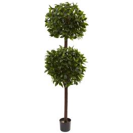 BreeBe - 6' Sweet Bay Double Ball Topiary x 2 w/2025 Lvs - Green