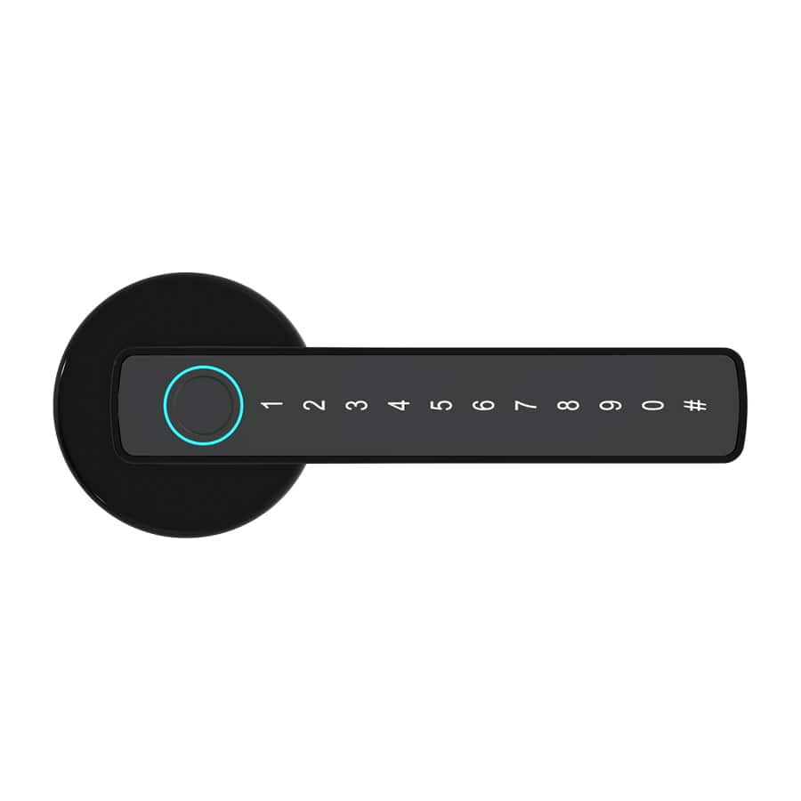 Cluzine - Tuya Smart Lock Door Knob, Fingerprint Keyless Entry, APP Remote, Password Unlock, for Interior Doors