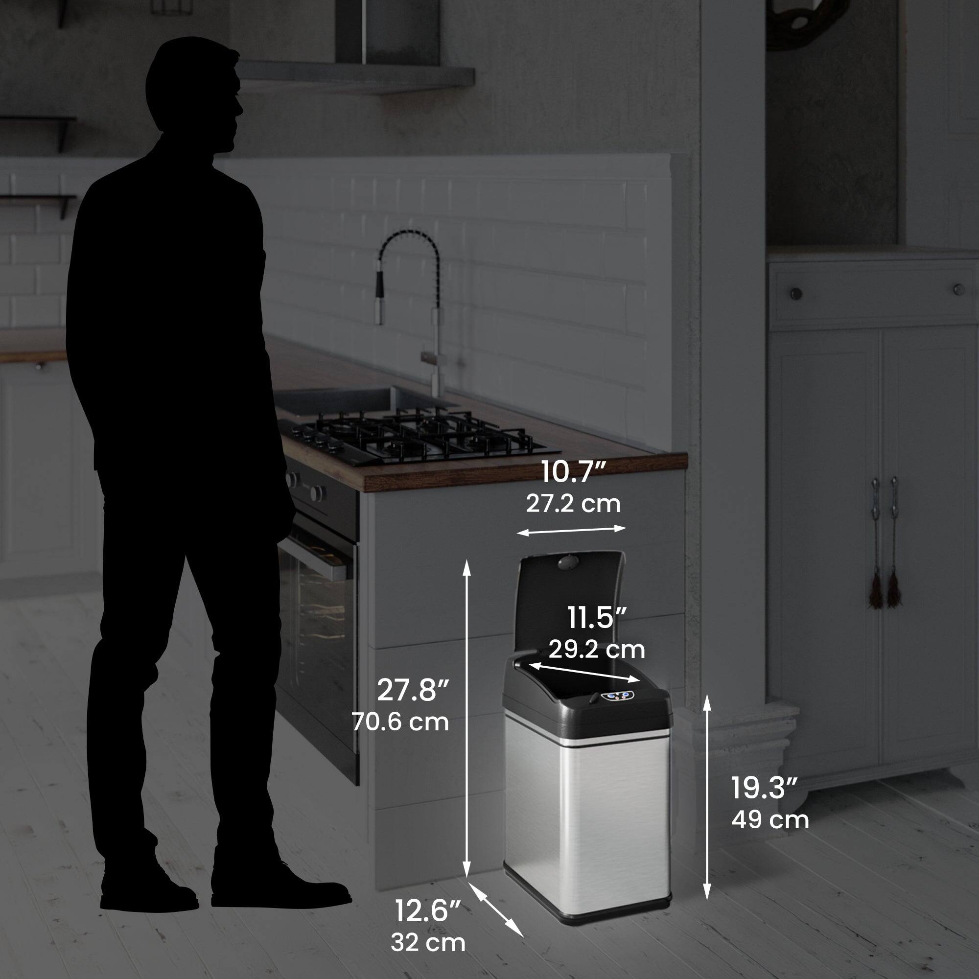 10.7" 27.2 cm  
27.8" 70.6 cm  
11.5" 29.2 cm  
19.3" 49 cm  
12.6" 32 cm