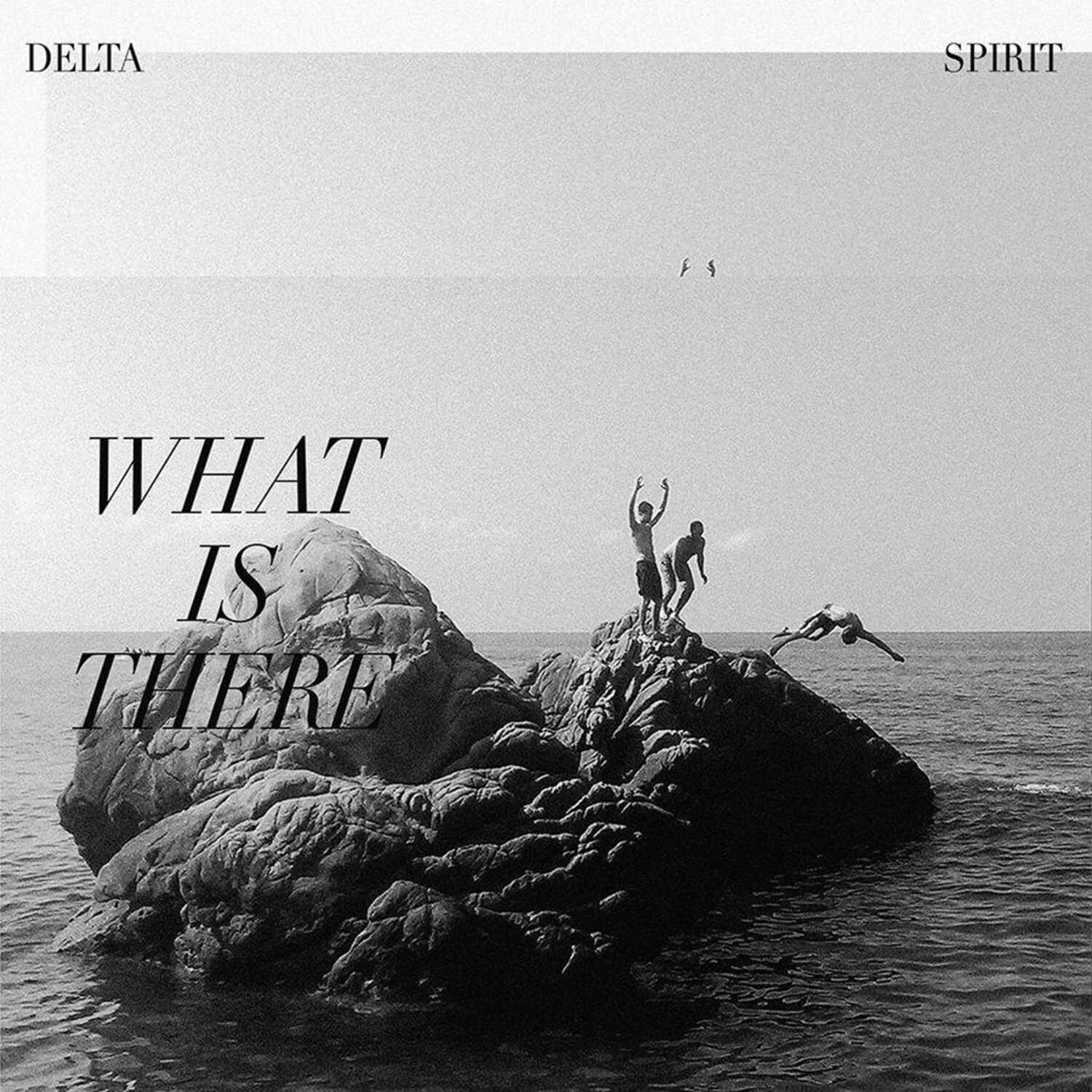 Delta Spirit - What Is There   - VINYL LP price history on PriceWatchPro