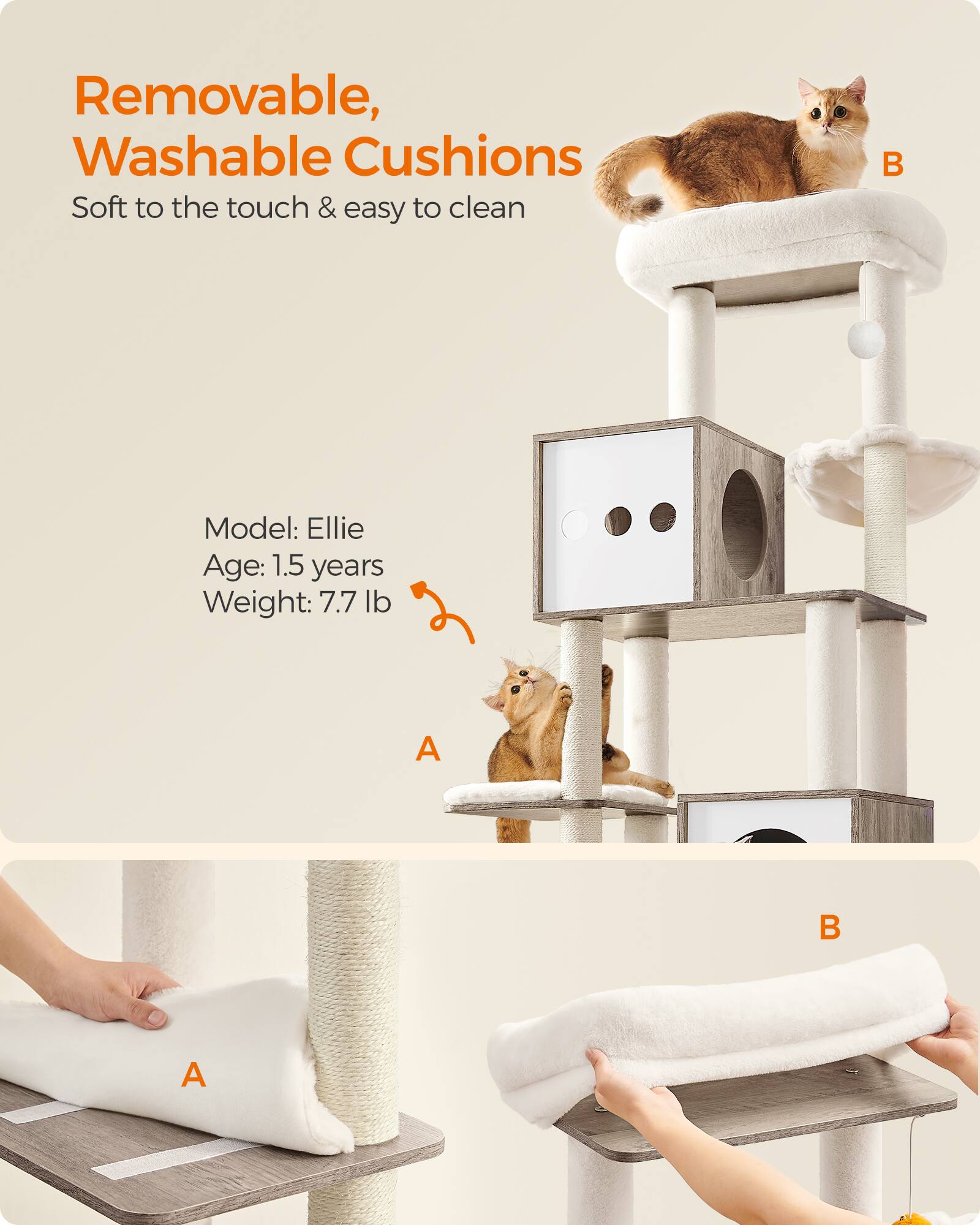 Removable, Washable Cushions  
Soft to the touch & easy to clean

Model: Ellie  
Age: 1.5 years  
Weight: 7.7 lb