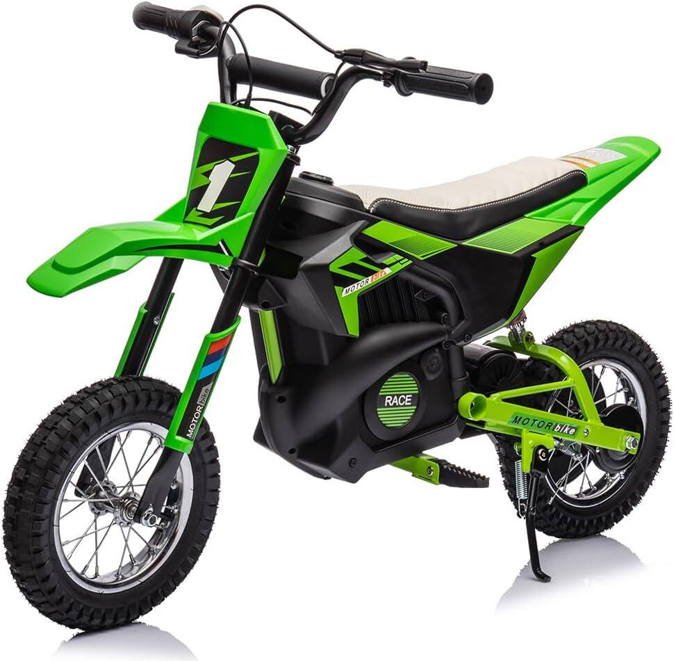 Electrodes Masters - Kids Electric Dirt Bike, 24v Off-Road Motorcycle with 250w Motor & Metal Suspension, Leather Seat - Green price history on PriceWatchPro