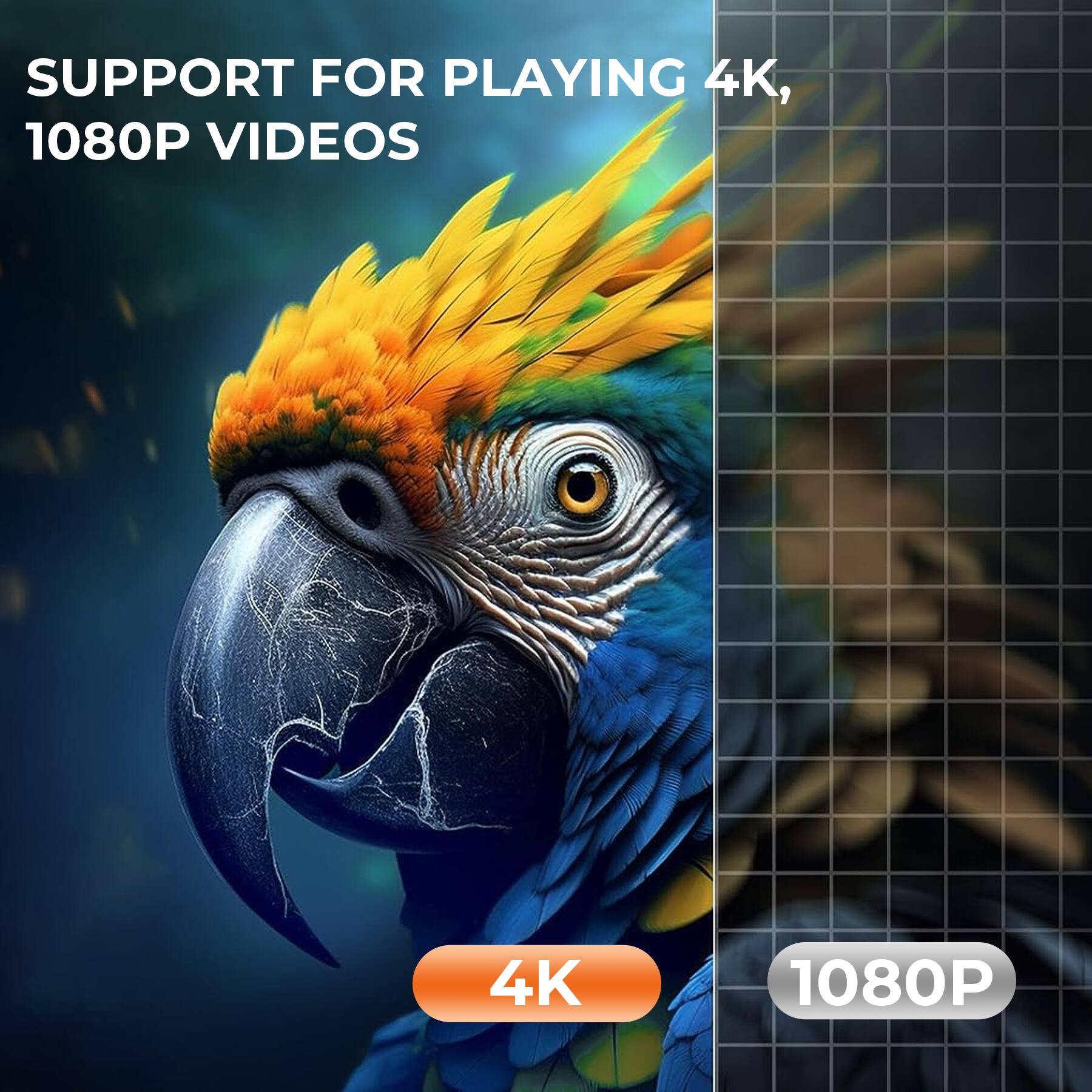 SUPPORT FOR PLAYING 4K, 1080P VIDEOS

4K

1080P