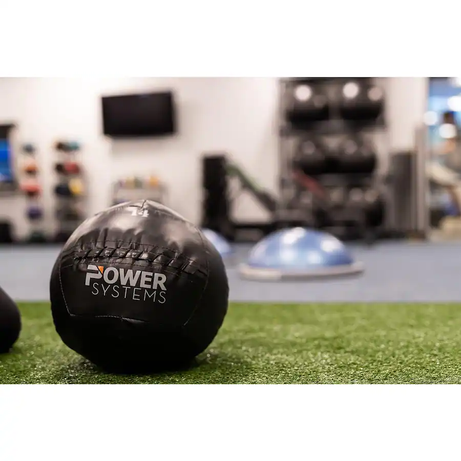 Power Systems 14 Wall Ball 10 Lb Durable Weighted Exercise Ball power-systems-14-wall-ball-10-lb-durable-weighted-exercise-ball