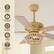 Remote Control
Whisper-quiet AC Motor
Reversible Rotation
3 Speed Settings
2 Downrods Included