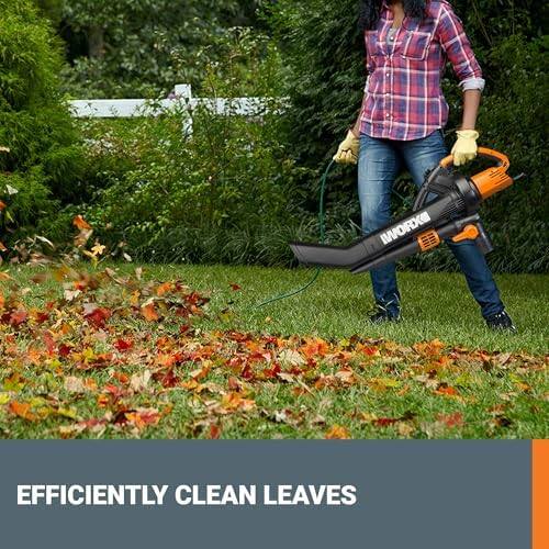 Efficiently Clean Leaves