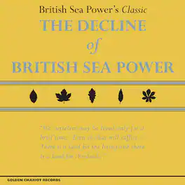 British Sea Power - The Decline of British Sea Power - VINYL LP