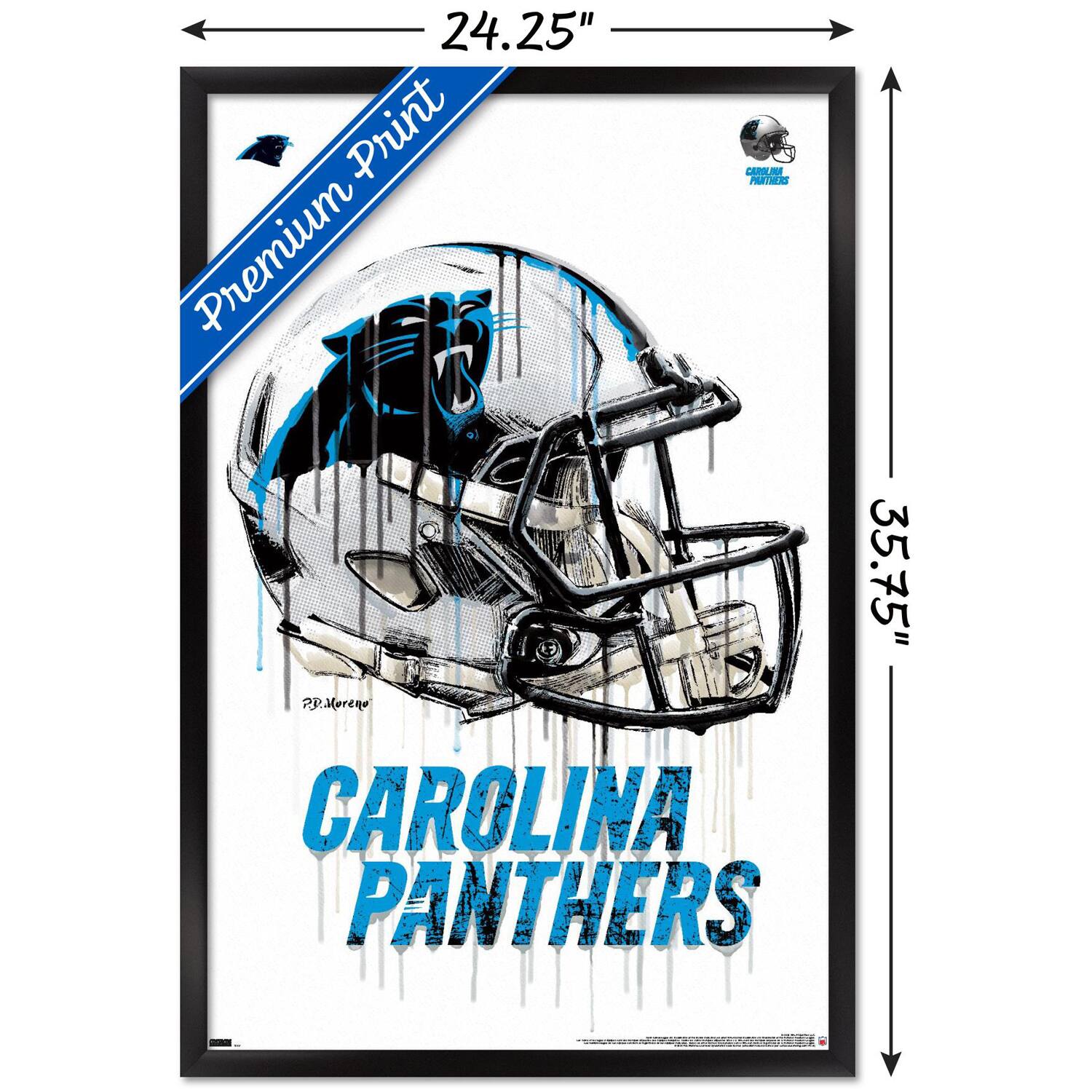 24.25" x 35.75"  
Premium Print  
CAROLINA PANTHERS