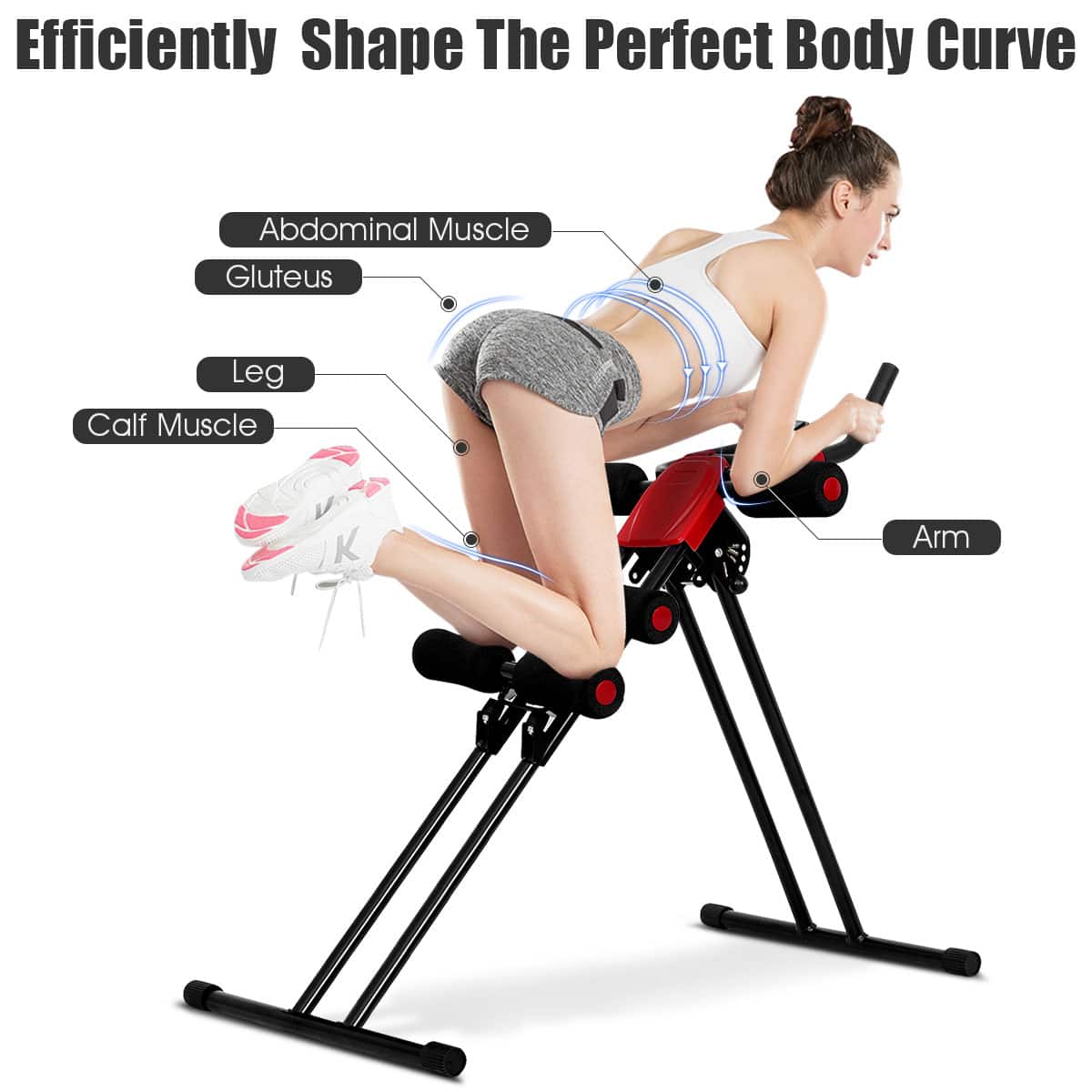 Efficiently Shape The Perfect Body Curve: Abdominal Muscle, Gluteus, Leg, Calf Muscle, Arm