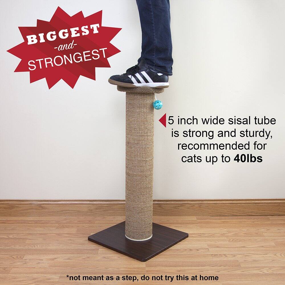 BIGGEST and STRONGEST

5 inch wide sisal tube is strong and sturdy, recommended for cats up to 40lbs

*not meant as a step, do not try this at home