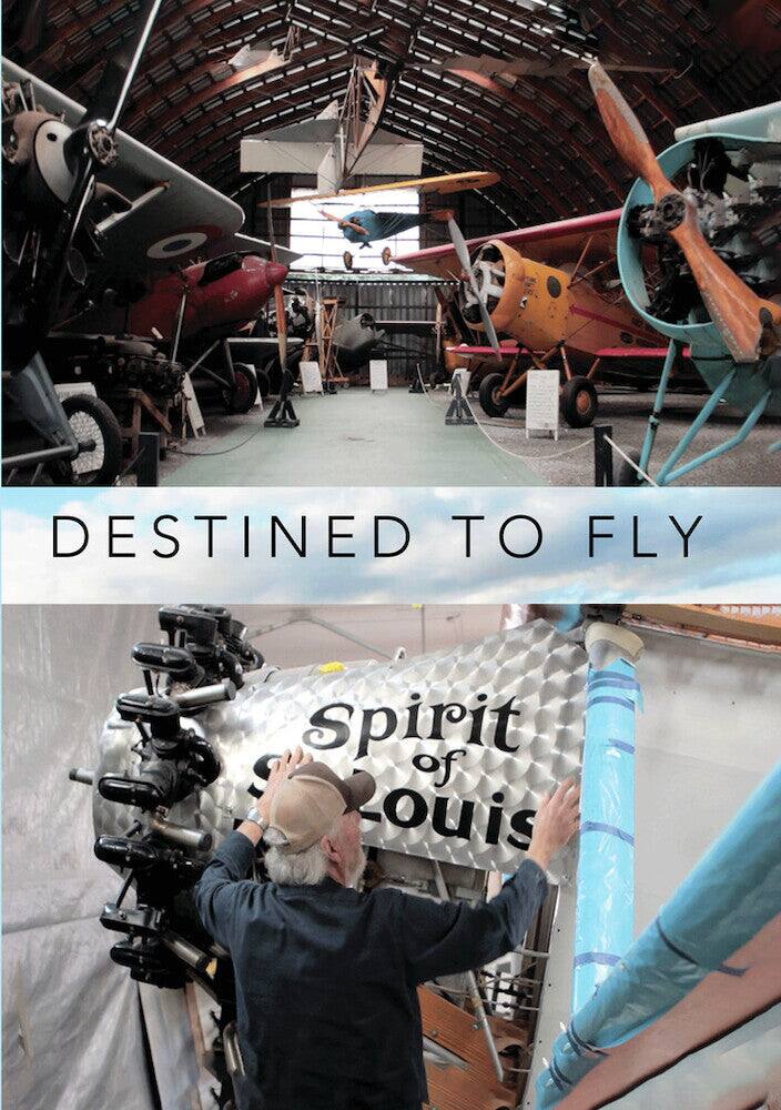 Destined To Fly (MOD) (DVD Movie)