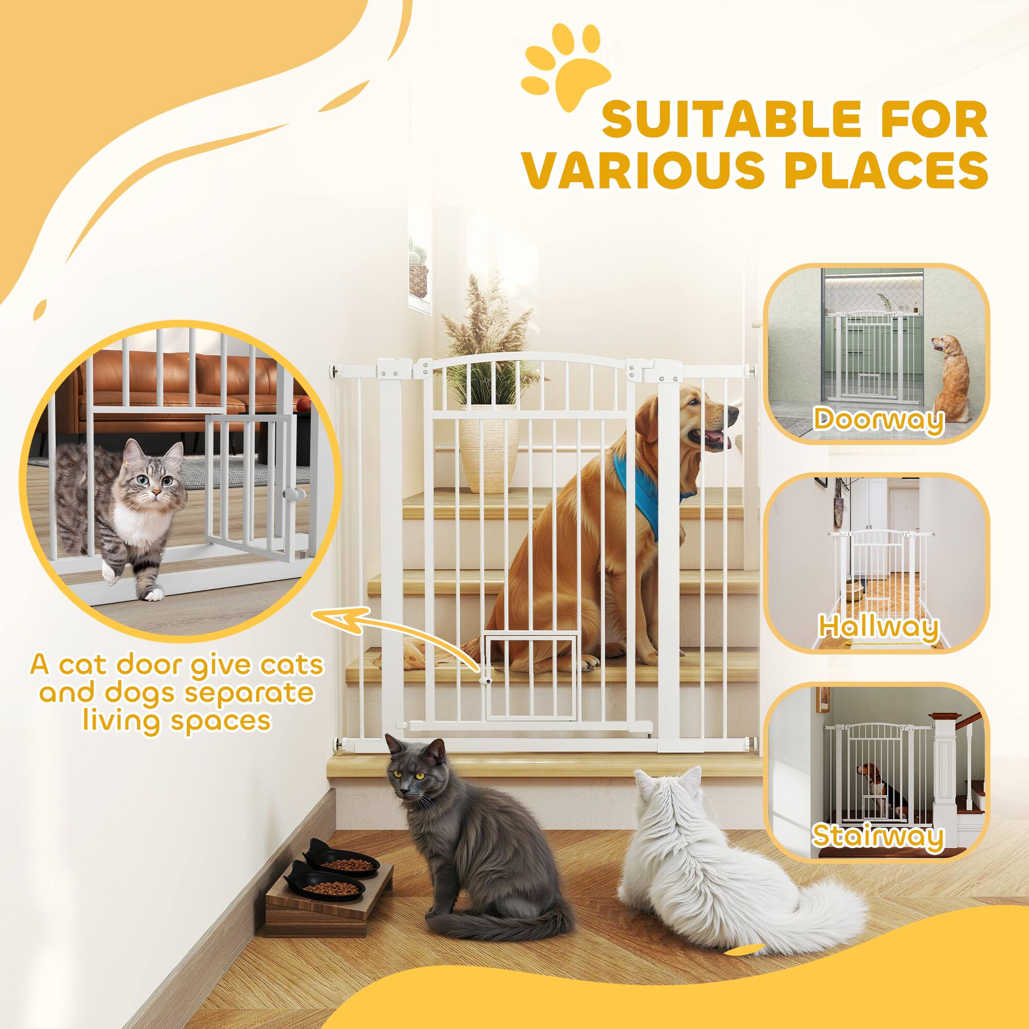 SUITABLE FOR VARIOUS PLACES

A cat door give cats and dogs separate living spaces

Doorway

Hallway

Stairway