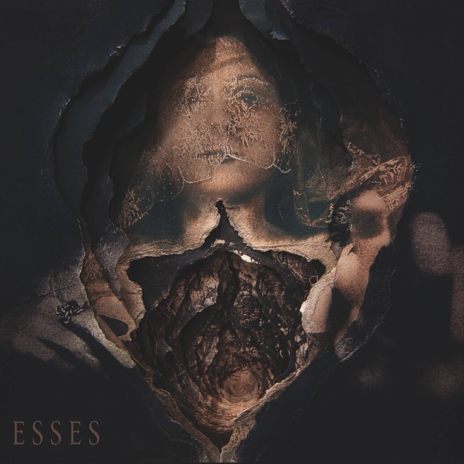 Front. Esses - Pain At The Altar Of Jest   - VINYL LP.
