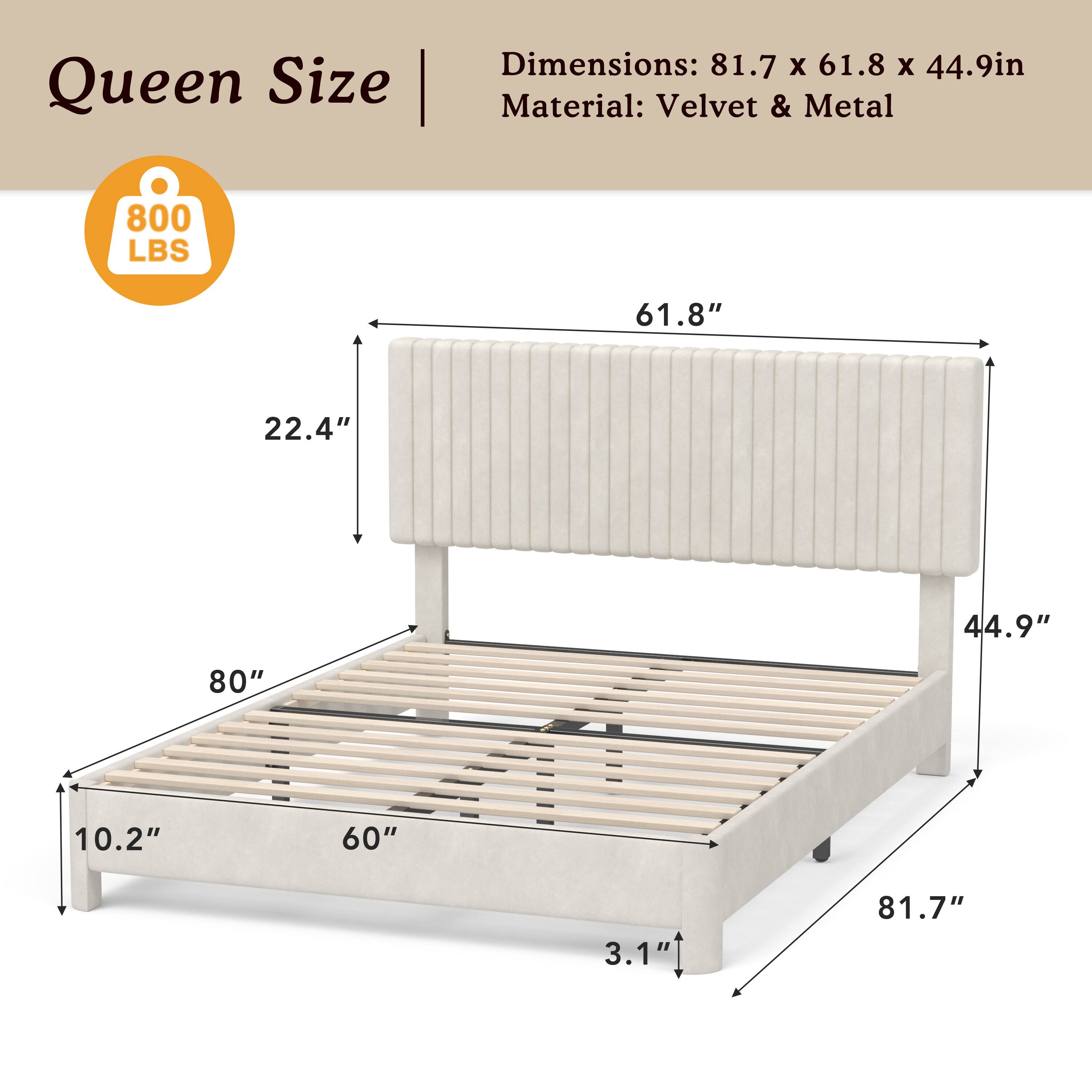 Queen Size | Dimensions: 81.7 x 61.8 x 44.9in  
Material: Velvet & Metal  
800 LBS  
61.8"  
22.4"  
44.9"  
80"  
10.2"  
60"  
3.1"  
81.7"