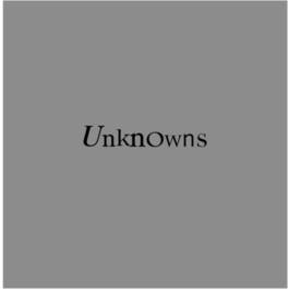 The Dead C - Unknowns - VINYL LP