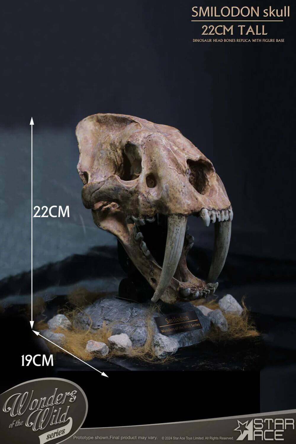 SMILODON skull 22CM TALL DINOSAUR HEAD BONES REPLICA WITH FIGURE BASE 22CM

Smilodon Wild Series - Wonders of the Wild series

Prototype shown. Final product may vary.

© 2024 Star Ace Toys Limited. All Rights Reserved.