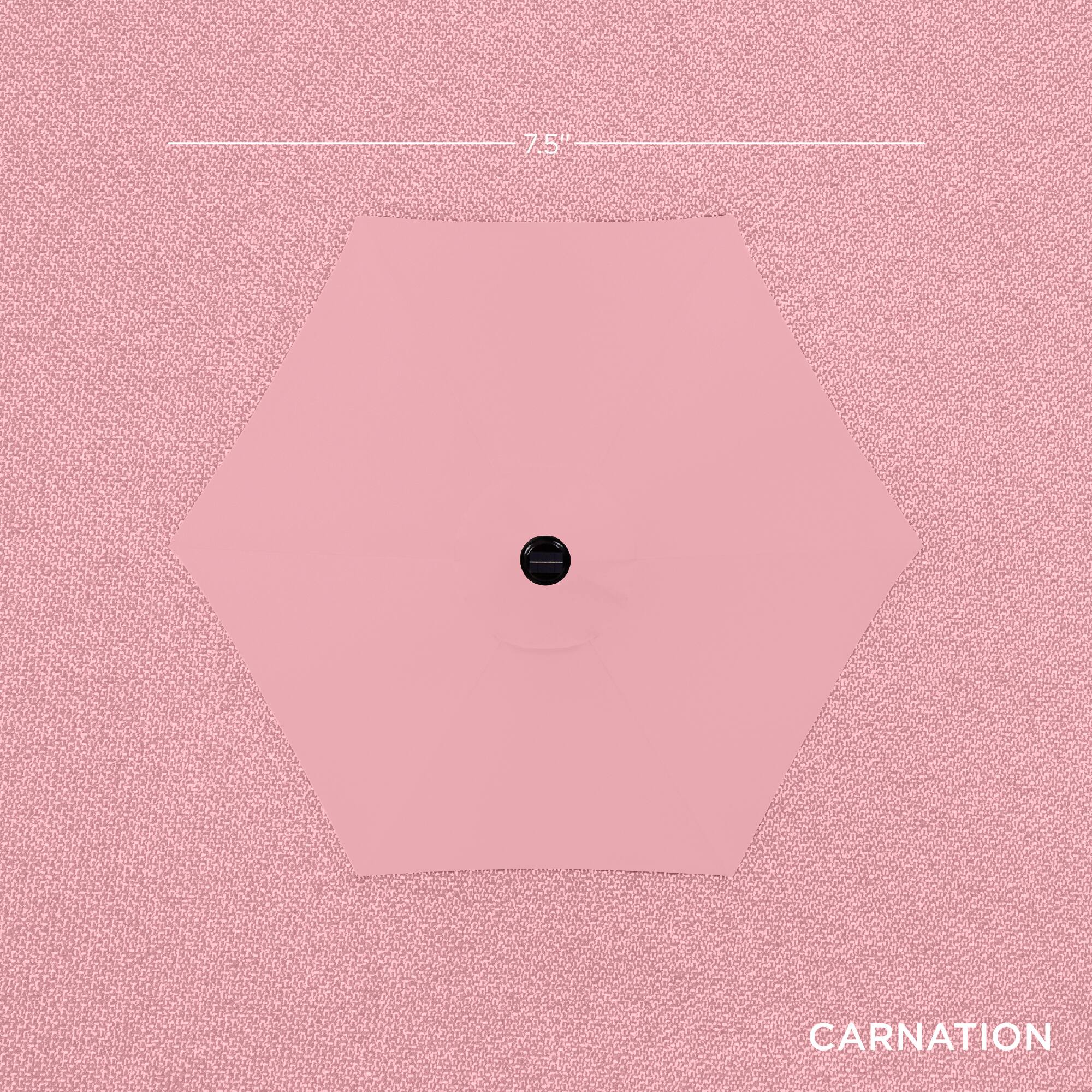 The text on the image is "7.5" CARNATION."