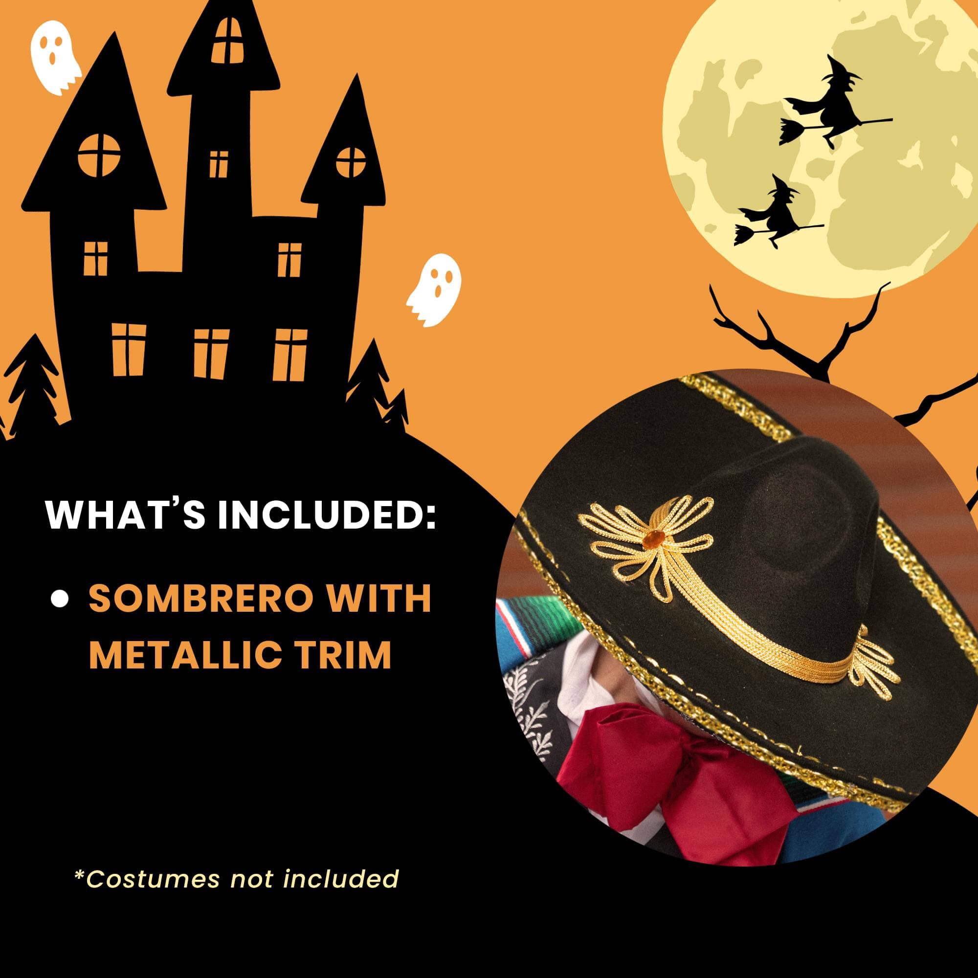 WHAT'S INCLUDED:  
- SOMBRERO WITH METALLIC TRIM  

*Costumes not included