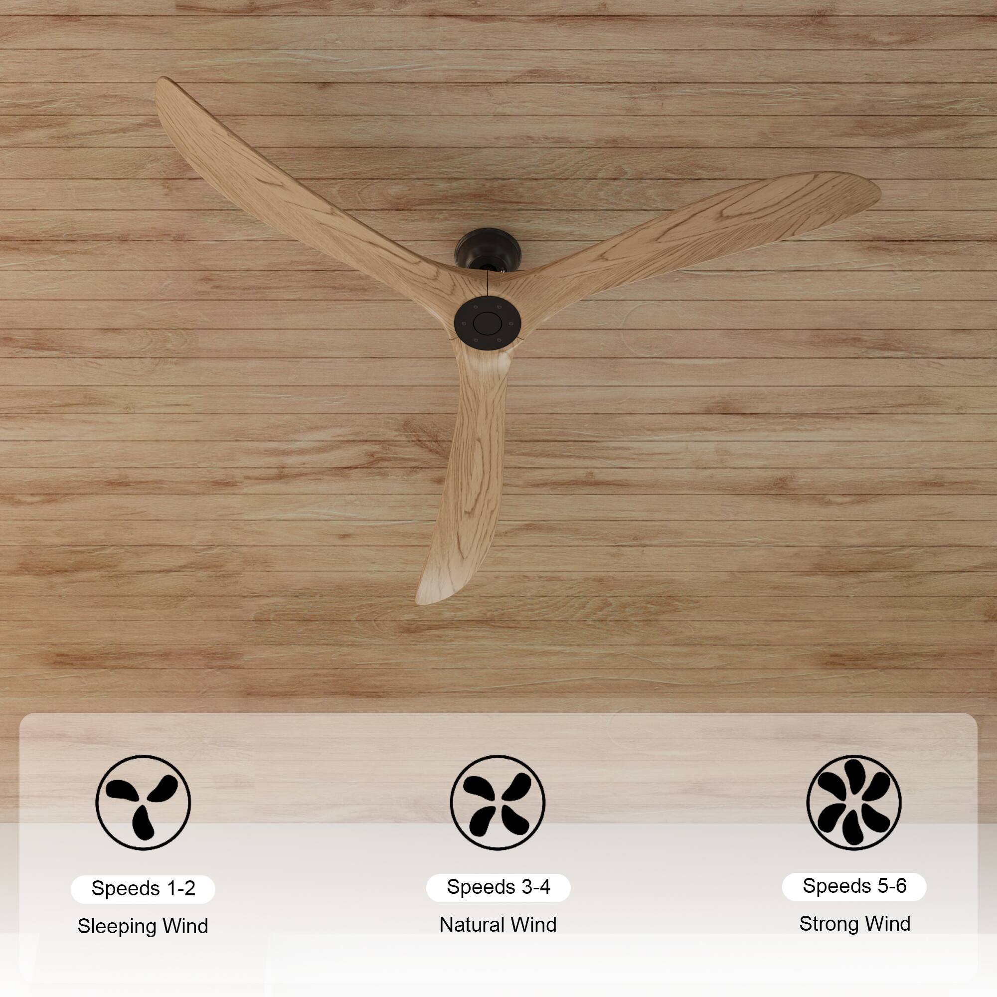 Speeds 1-2 Sleeping Wind, Speeds 3-4 Natural Wind, Speeds 5-6 Strong Wind