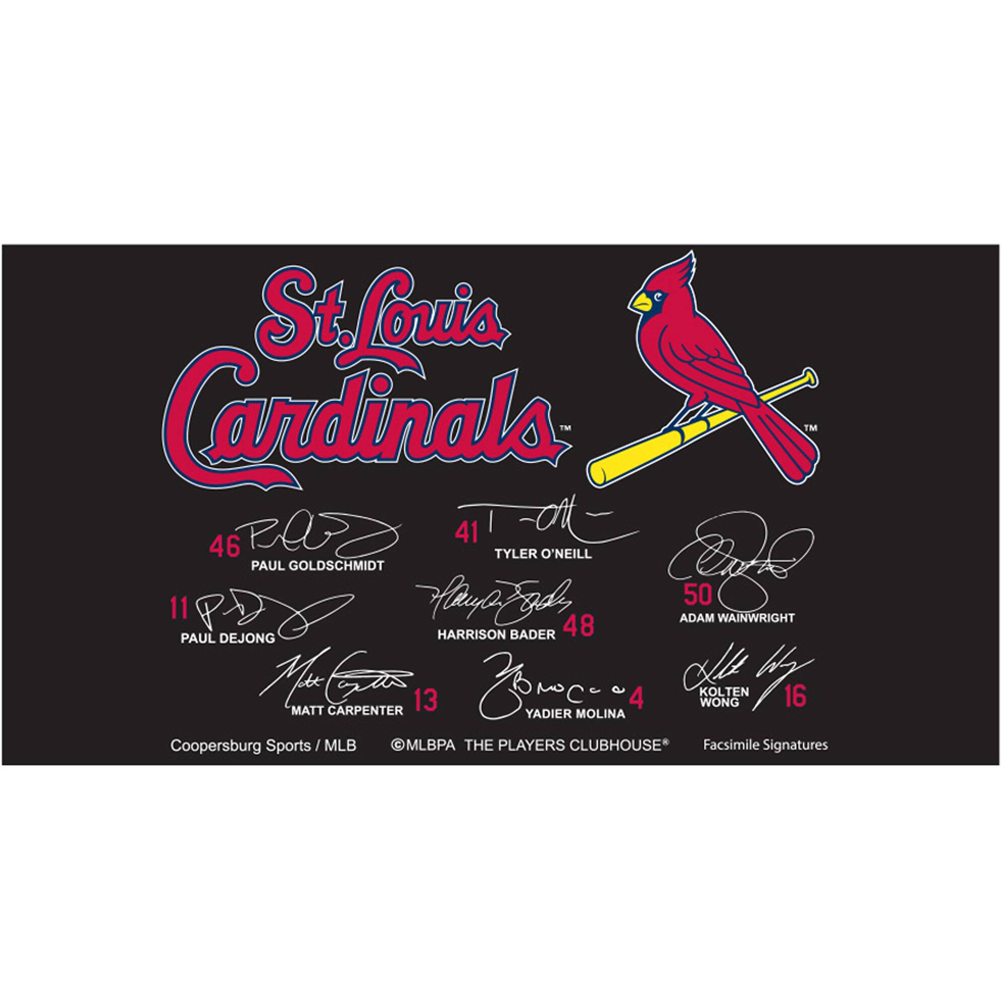 St. Louis Cardinals

46 PAUL GOLDSCHMIDT  
11 PAUL DEJONG  
13 MATT CARPENTER  
41 TYLER O'NEILL  
48 HARRISON BADER  
4 YADIER MOLINA  
50 ADAM WAINWRIGHT  
16 KOLTEN WONG  

Coopersburg Sports / MLB  
@MLBPA THE PLAYERS CLUBHOUSE®  
Facsimile Signatures