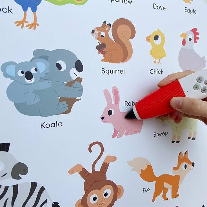 Sure! Here is the corrected and grouped text from the image:

- Sparrow
- Dove
- Eagle
- Squirrel
- Chick
- Rabbit
- Sheep
- Koala
- Fox