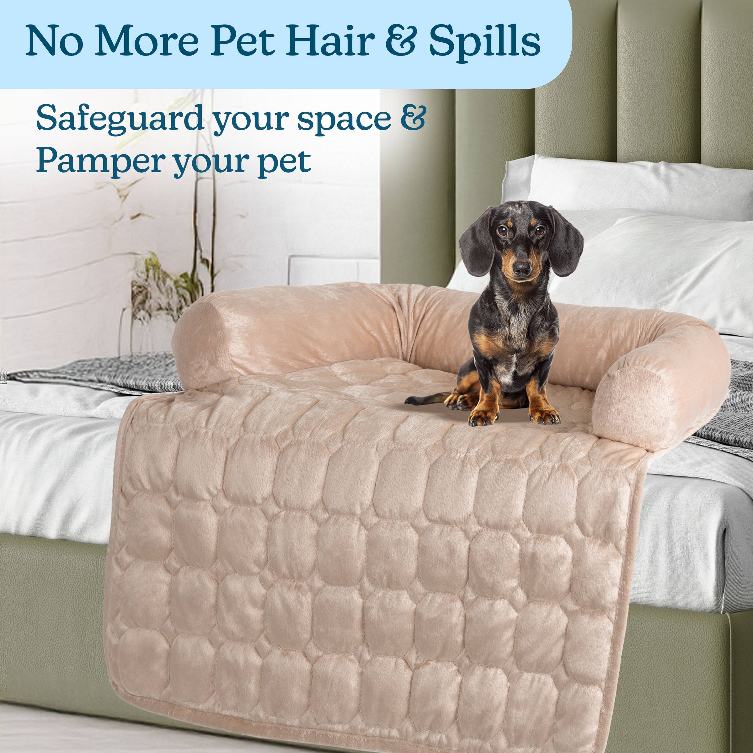 No More Pet Hair & Spills

Safeguard your space & Pamper your pet