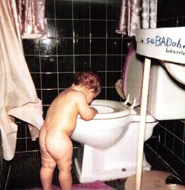 Sebadoh - Bakesale - VINYL LP