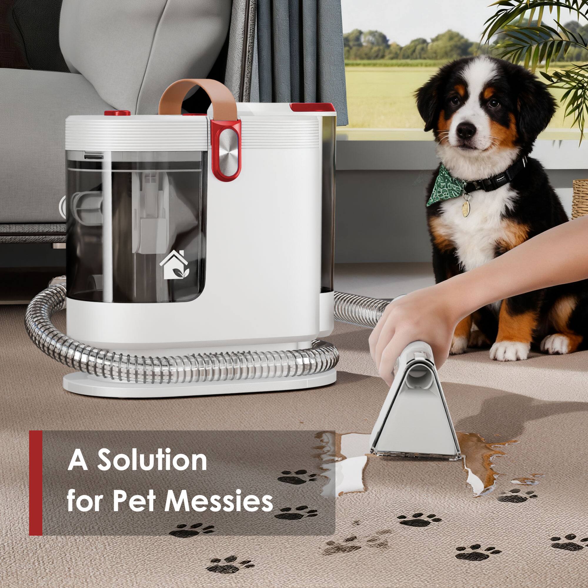 A Solution for Pet Messies