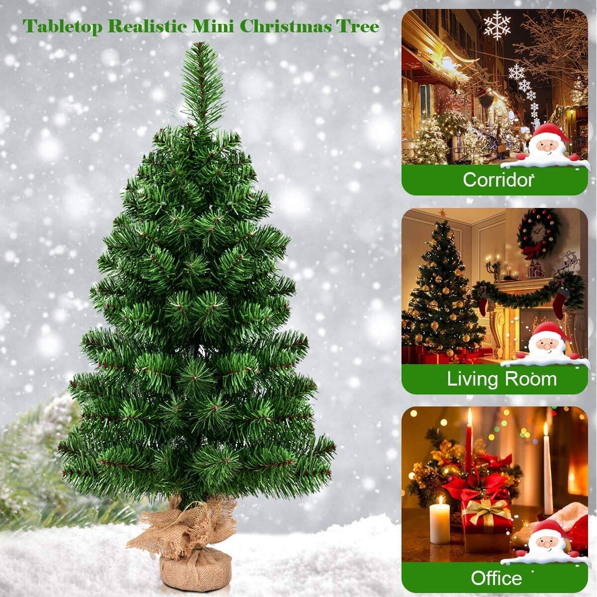 Tabletop Realistic Mini Christmas Tree

Corridor

Living Room

Office