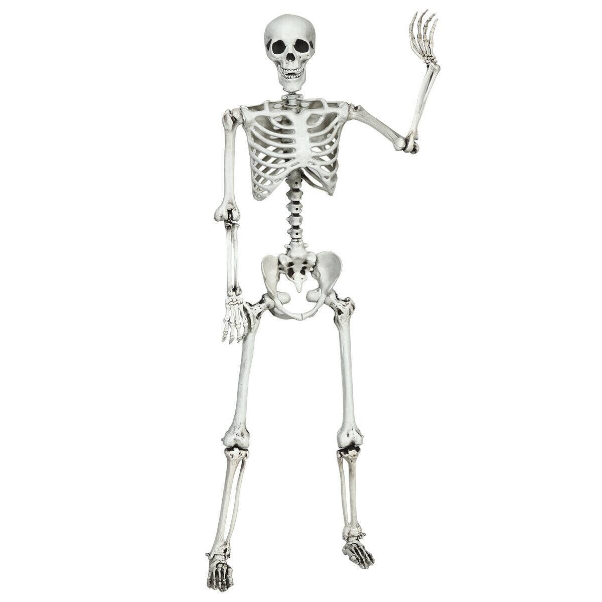 Alt View 1. Gymax - Gymax Full Body Halloween Skeleton 5.4ft Life Size w/ Hanging Rope Movable Joints - White.