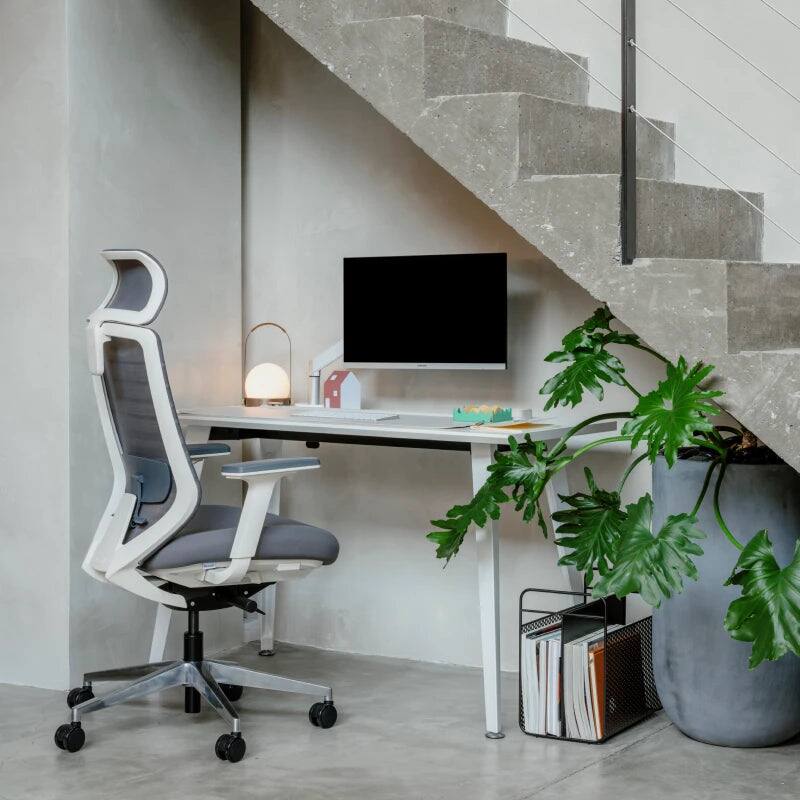 Back. Branch Furniture - Branch Ergonomic Chair – Adjustable Office Chair for All-Day Comfort with Lumbar Support and Recycled Mesh Back - Graphite.