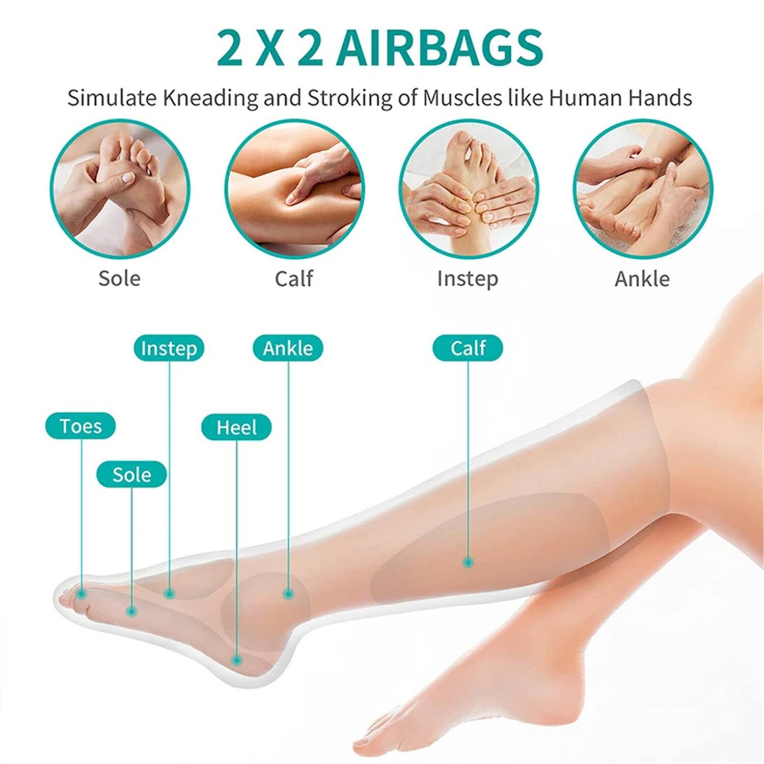 2 X 2 AIRBAGS  
Simulate Kneading and Stroking of Muscles like Human Hands  

Sole  
Calf  
Instep  
Ankle  

Toes  
Heel  
Sole  
Calf  
Instep  
Ankle
