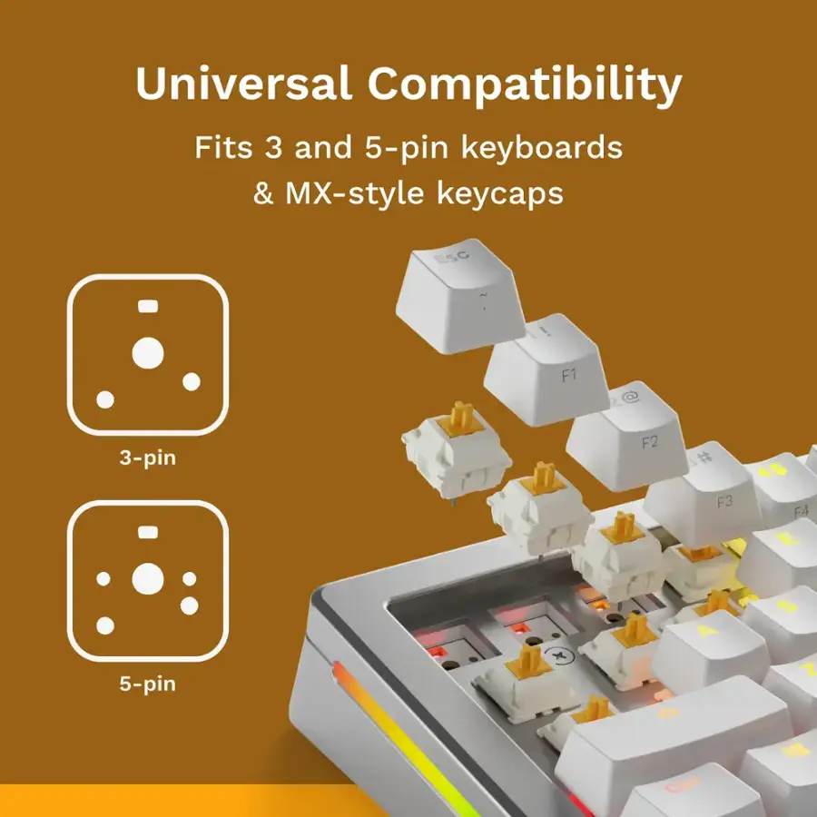 Universal Compatibility: Fits 3 and 5-pin keyboards & MX-style keycaps. ESC, i, F1, @ 3-pin, F2, F3, F4, E, 5-pin X, A, S, Z, Ctrl.