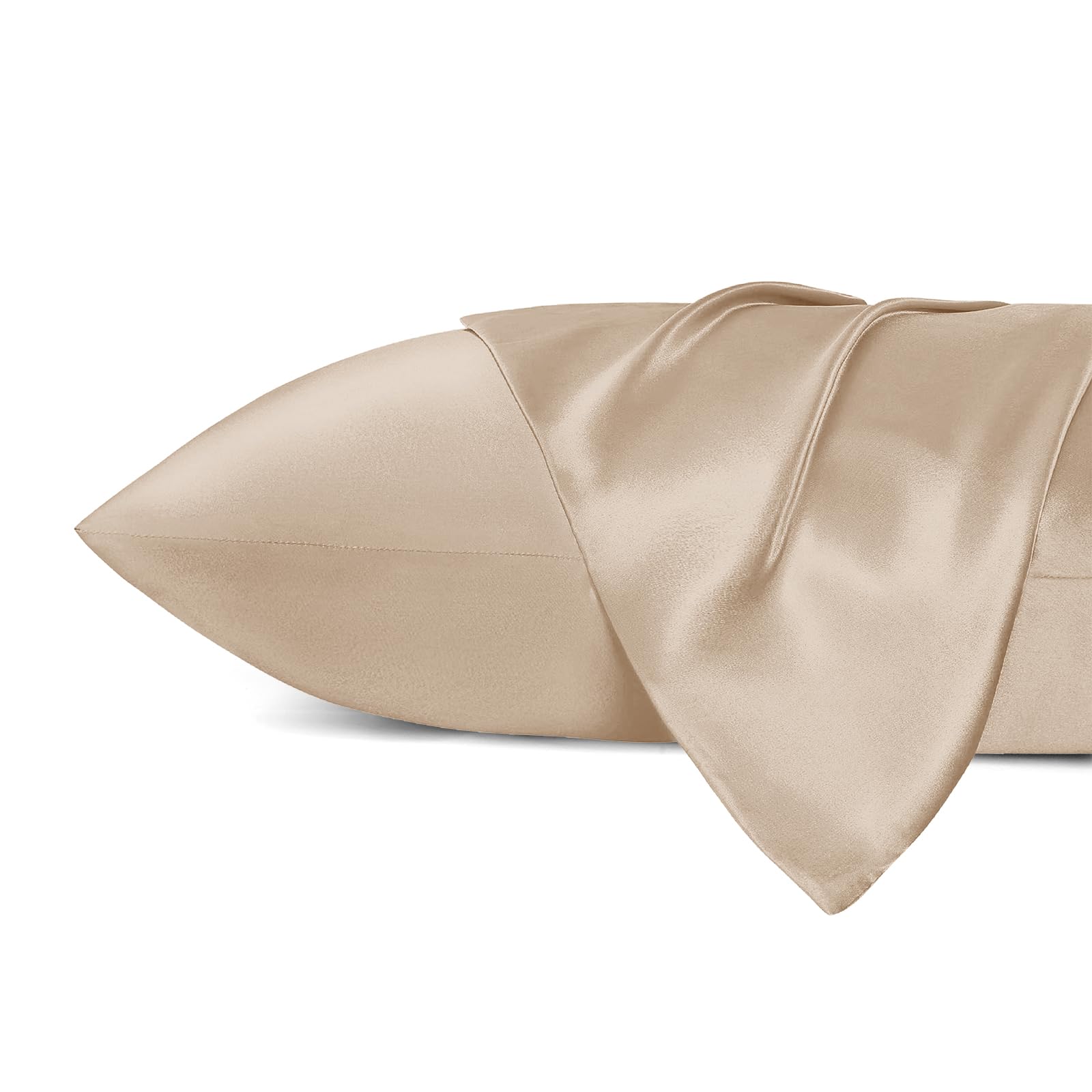 Champagne-Queen (20" x 30")