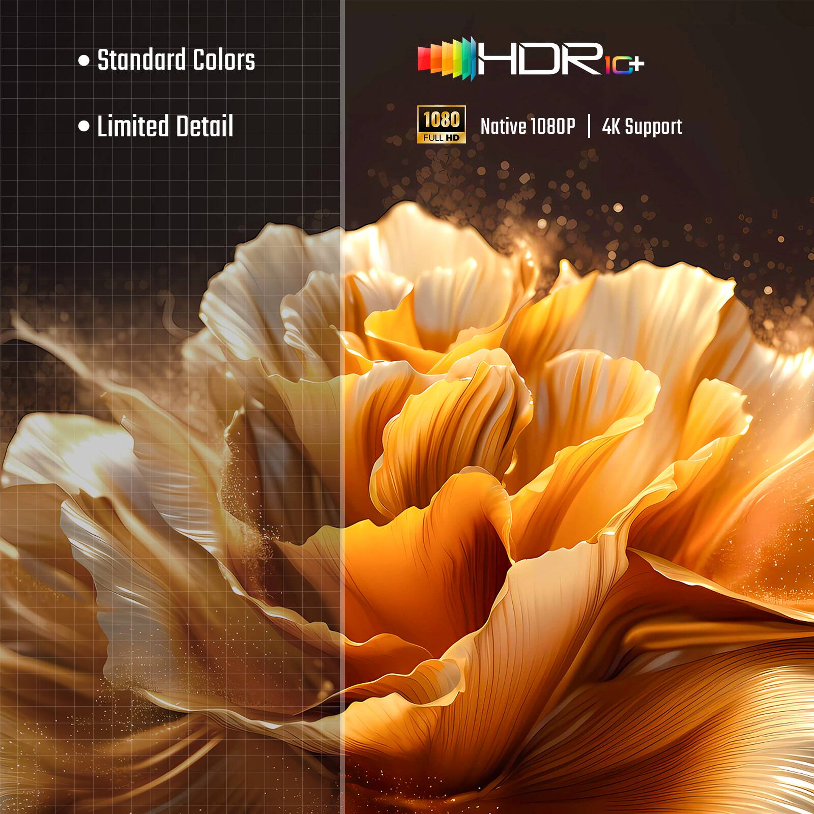 Standard Colors  
Limited Detail  
HDR IC+  
Native 1080P | FULL HD 4K Support