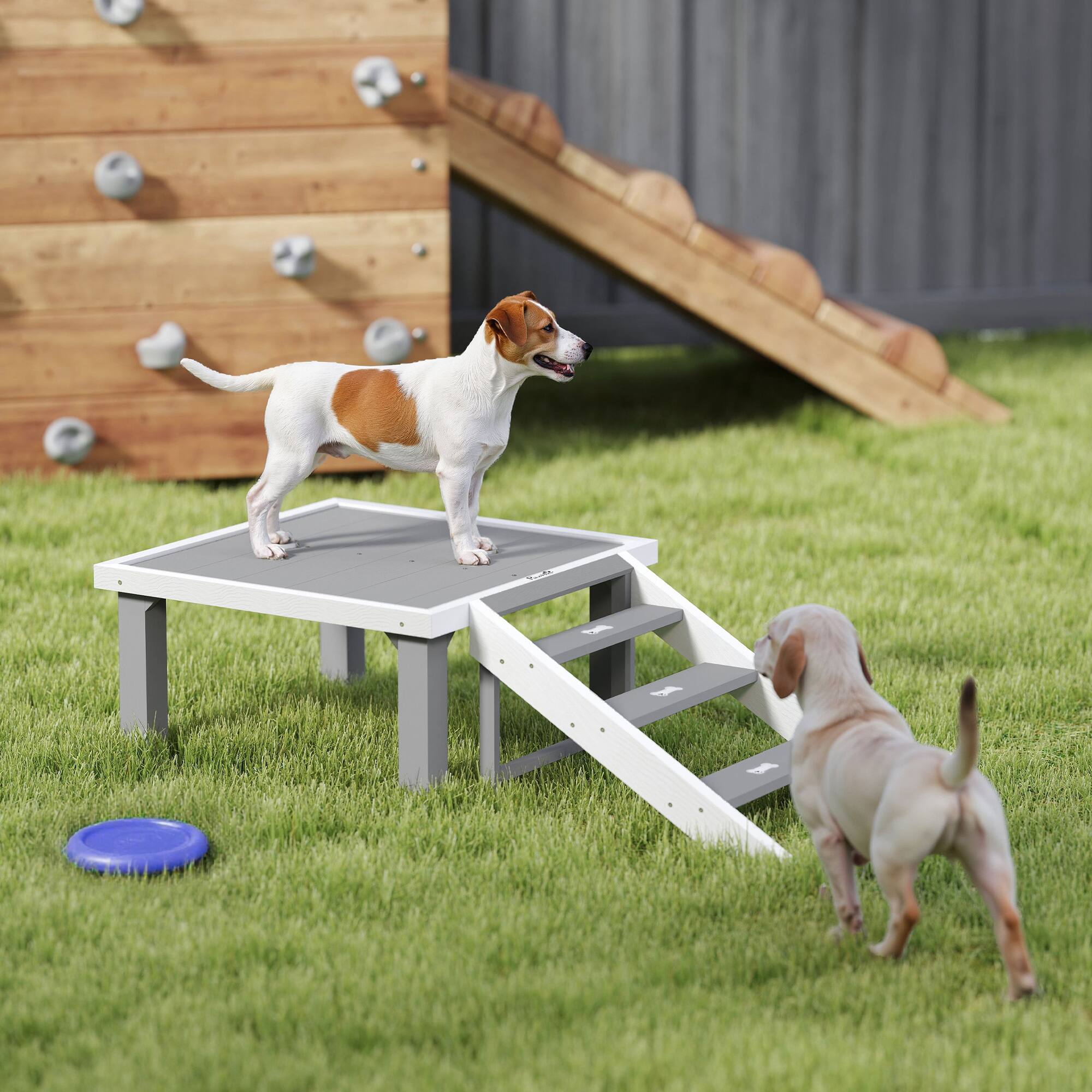 Angle. Pawhut - Dog Training Platform, Wooden Place Board with Ladder, Indoor/Outdoor, for Small, Medium Dogs - Gray.