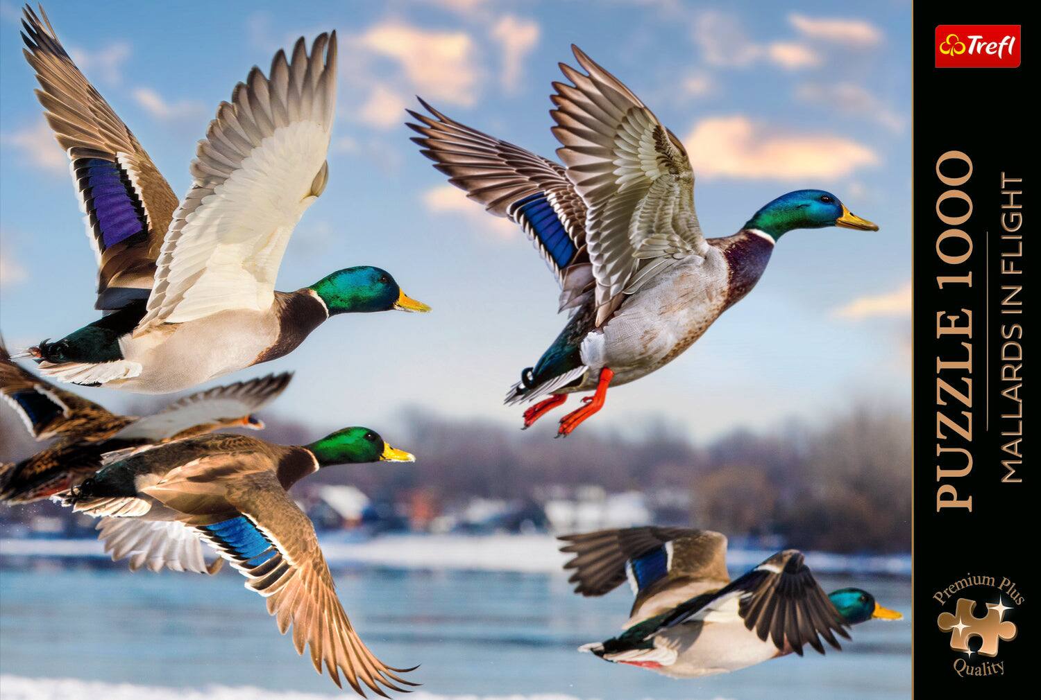 Trefl  
1000 FLIGHT IN PUZZLE MALLARDS Premium Plus  
Quality