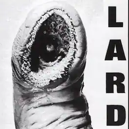 Lard - Power Of Lard - White - VINYL LP