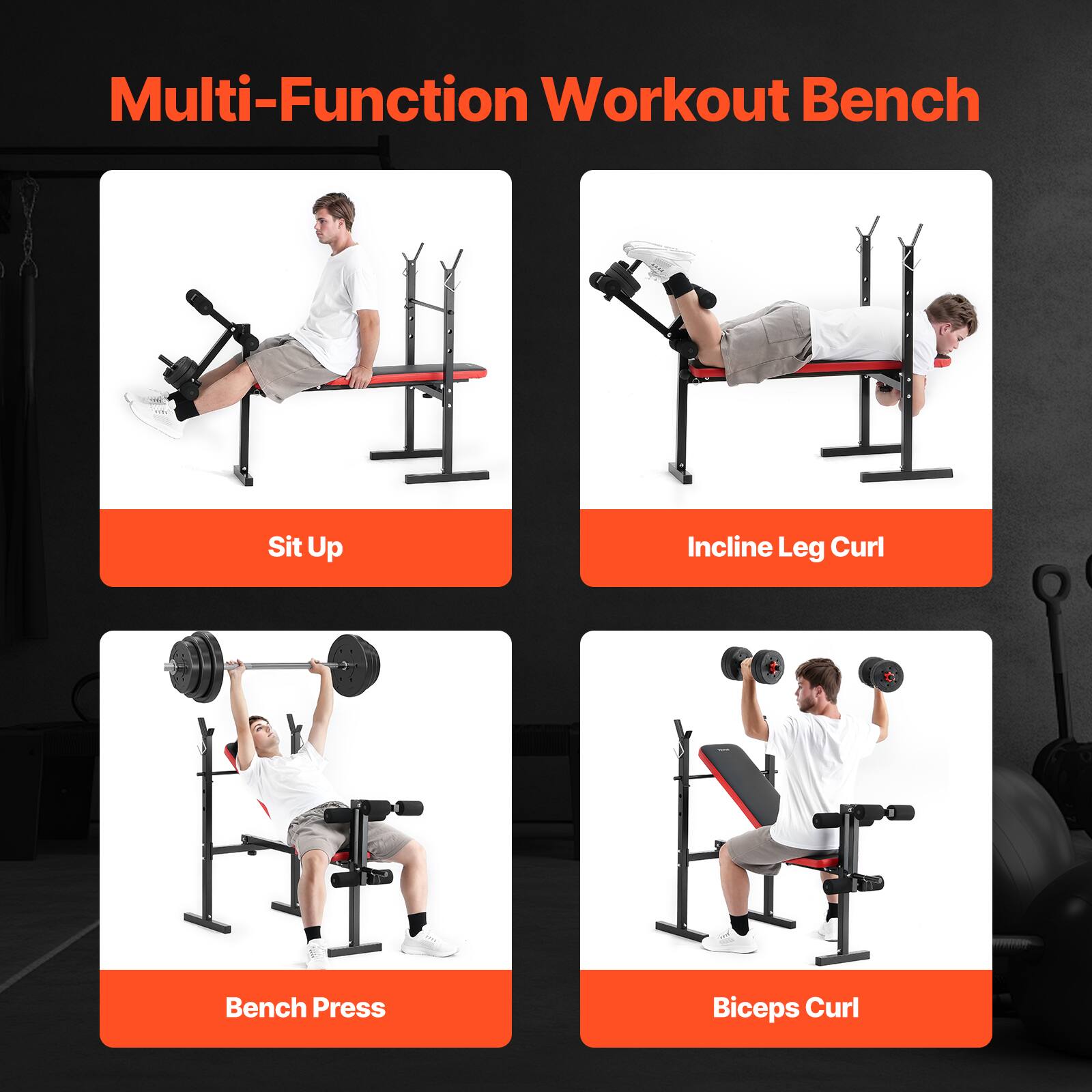 Multi-Function Workout Bench

- Sit Up
- Incline Leg Curl
- Bench Press
- Biceps Curl