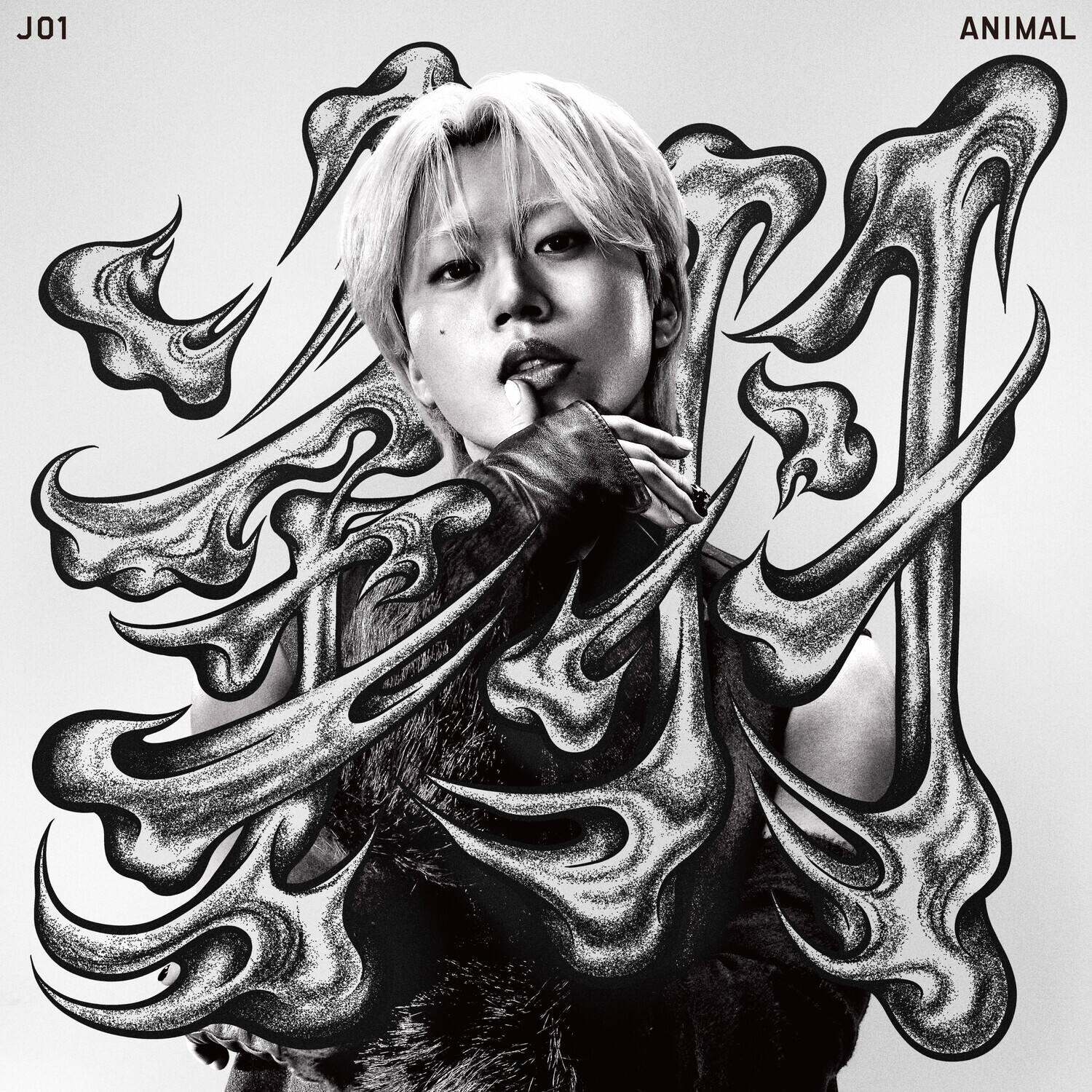 J01  
ANIMAL