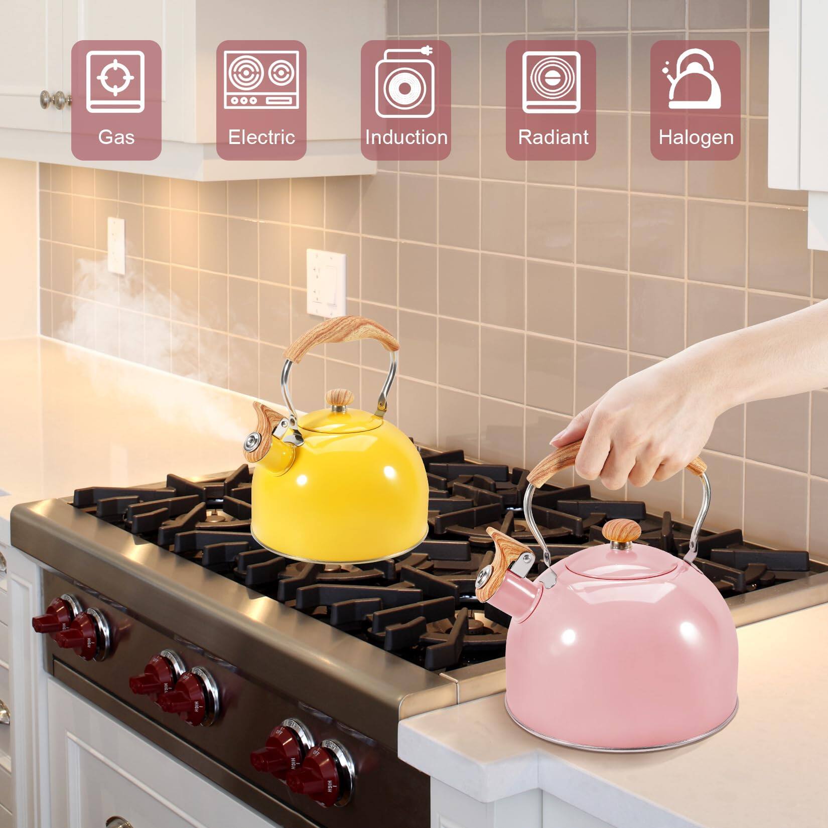 Gas  
Electric  
Induction  
Radiant  
Halogen