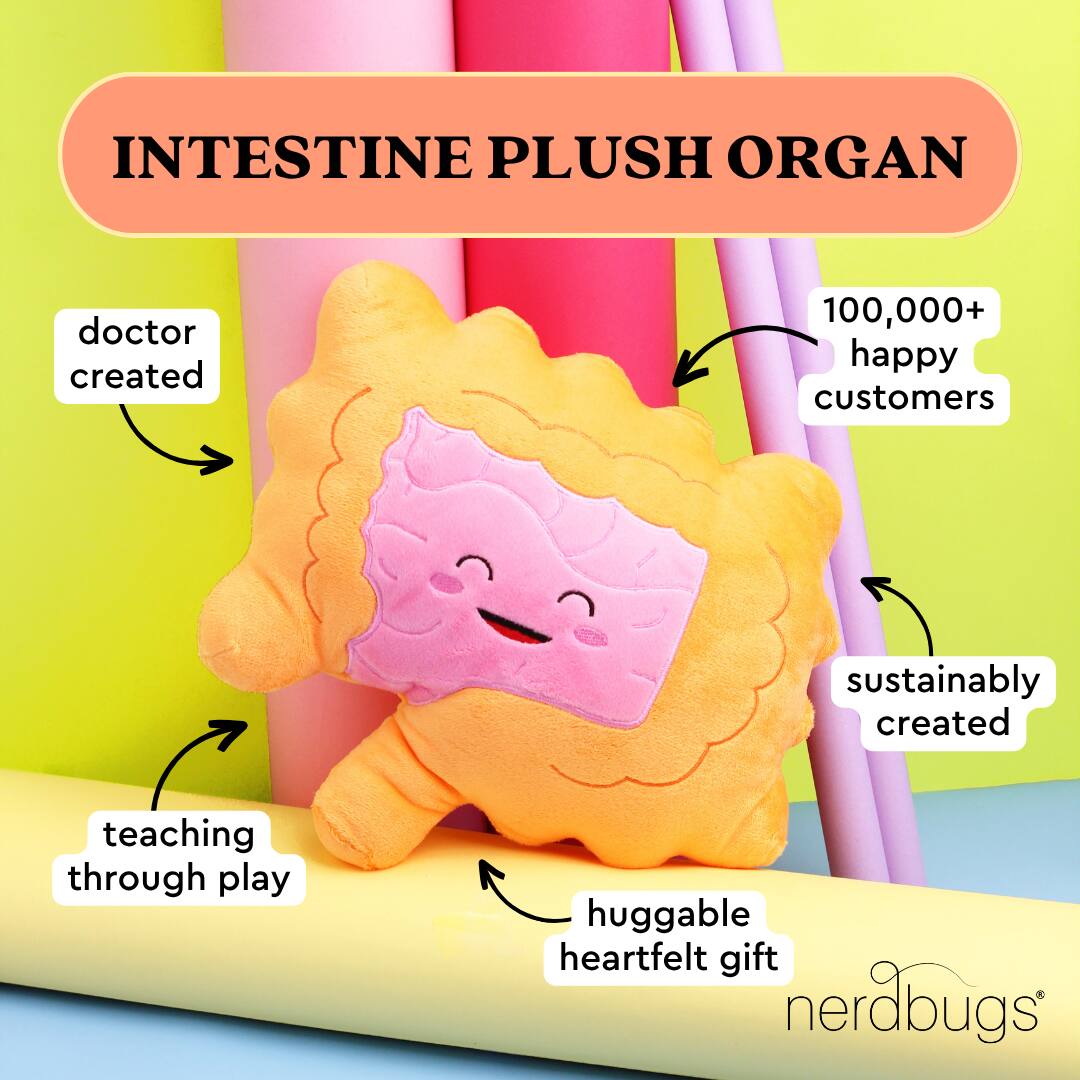 INTESTINE PLUSH ORGAN

- doctor created
- teaching through play
- sustainably created
- huggable heartfelt gift
- 100,000+ happy customers

nerdbugs®