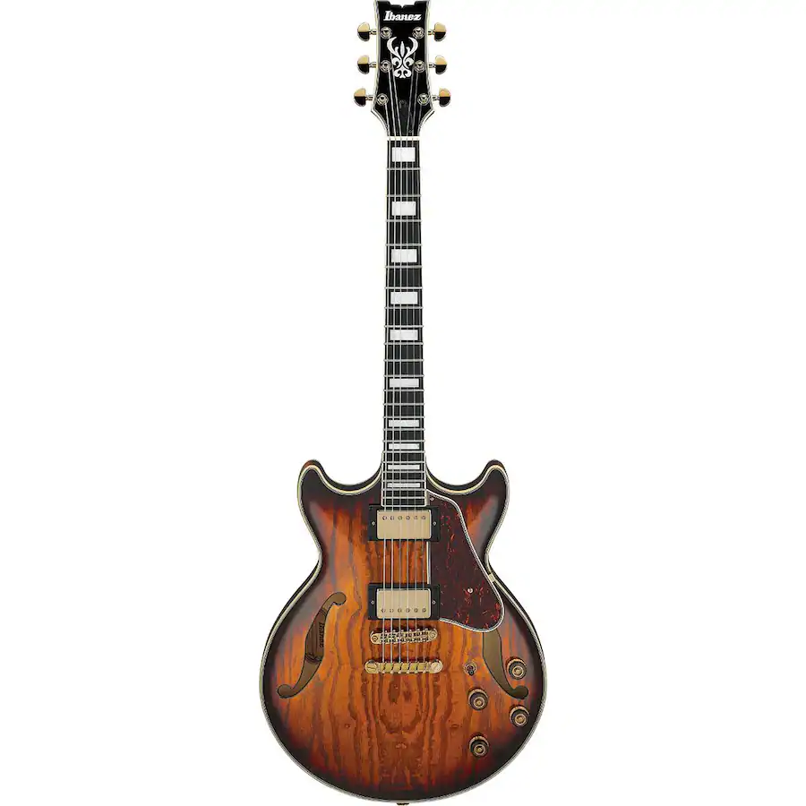 High Cello Notes Ibanez Artcore Expressionist Series AM93QA Electric Guitar, Vintage ...