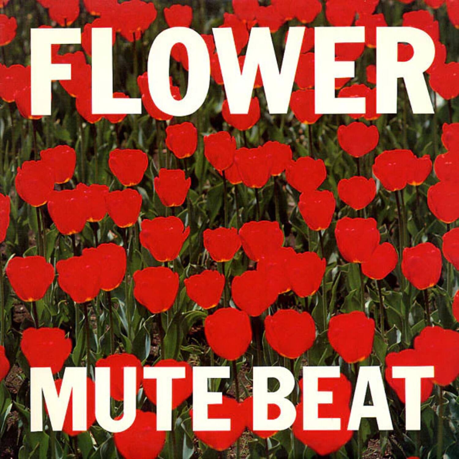 FLOWER  
MUTE BEAT