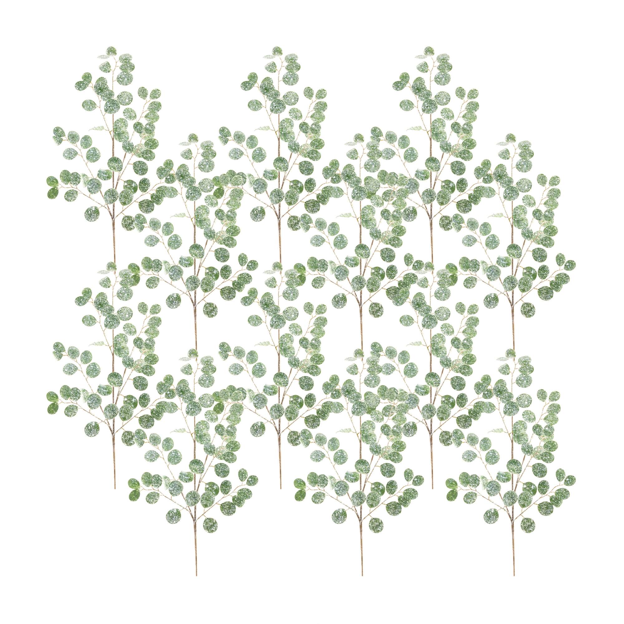 Front. BreeBe - Frosted Silver Dollar Eucalyptus Spray (Set of 12) - Green, Brown, Silver.