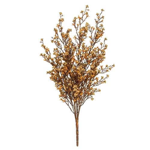 BreeBe - Star Flower Berry Bush - Earthtone - Multi