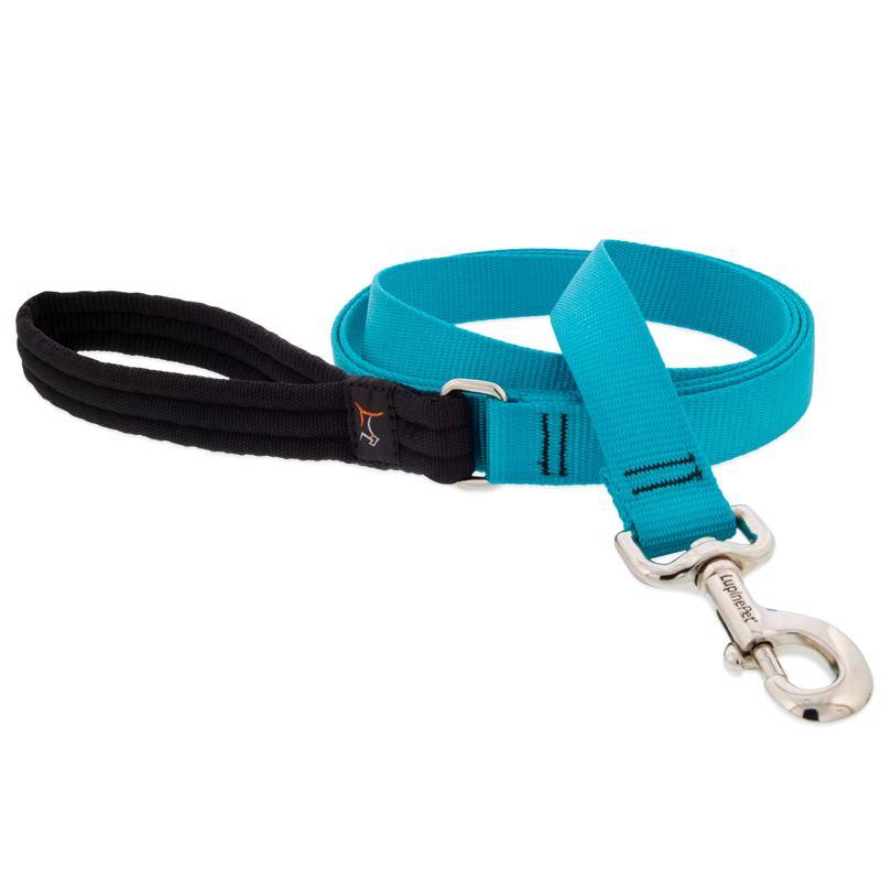 Angle. LupinePet - LupinePet Aqua Nylon Dog Leash One Size Fits All - Aqua.