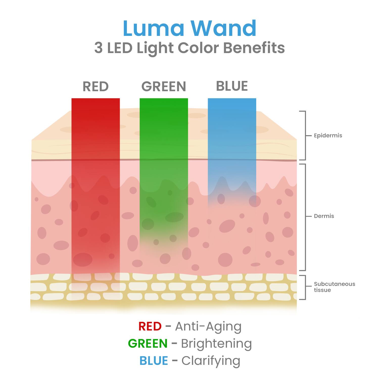 Luma Wand  
3 LED Light Color Benefits  

RED - Anti-Aging  
GREEN - Brightening  
BLUE - Clarifying  

Epidermis  
Dermis  
Subcutaneous tissue