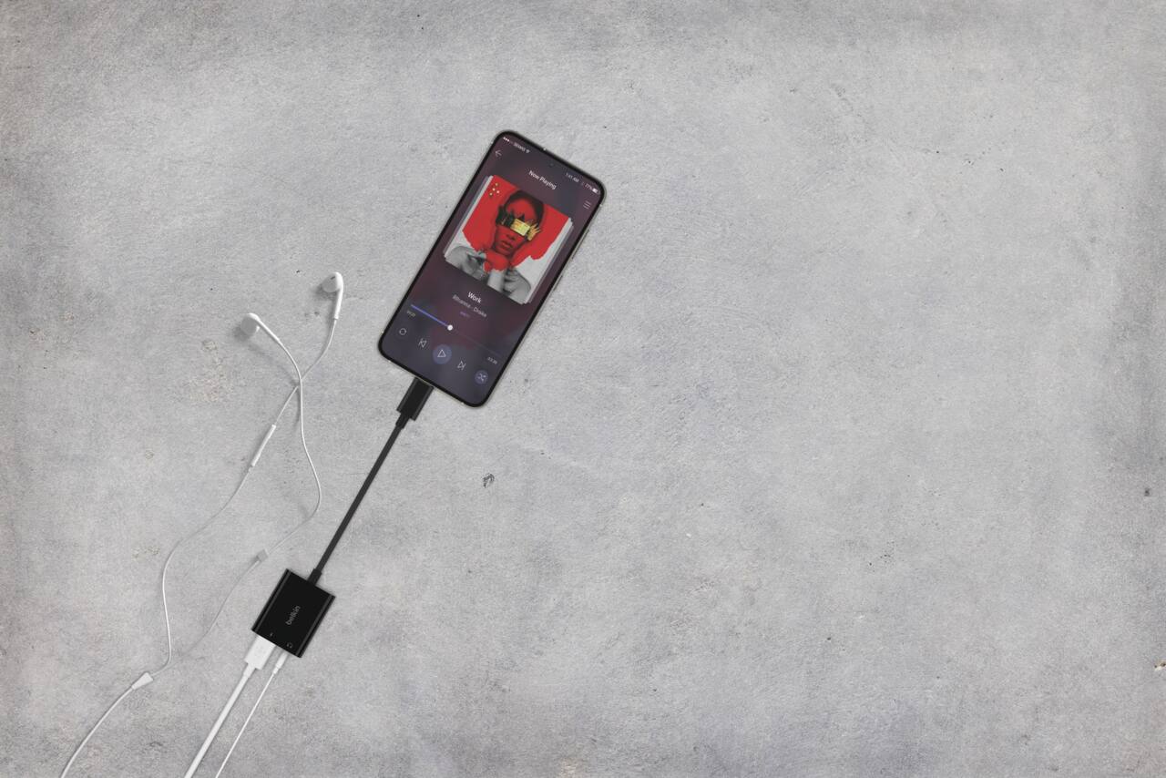 - - . - 1a00 .. - Raying - - - Shanns Mornk - Drate D DI .- belkin